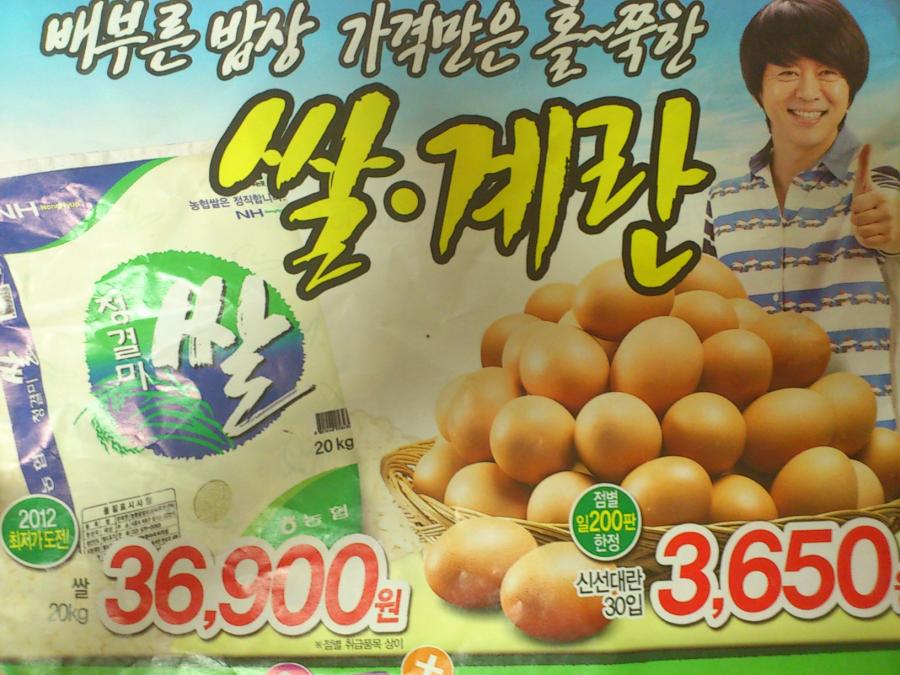 뽐뿌:오프라인뽐뿌 - 수입맥주 6캔 만원 외 미리보는 홈플 내일자 전단 일부(강서.가양점 종류정보 추가) 수입맥주 6캔 만원 외 미리보는 홈플... 