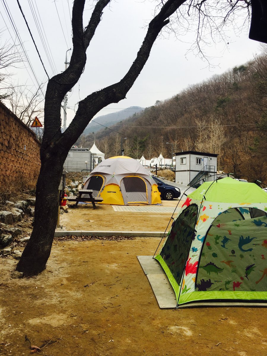 뽐뿌:캠핑포럼 - 미술관옆캠핑장왔어요 미술관옆캠핑장왔어요