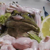 2.gif