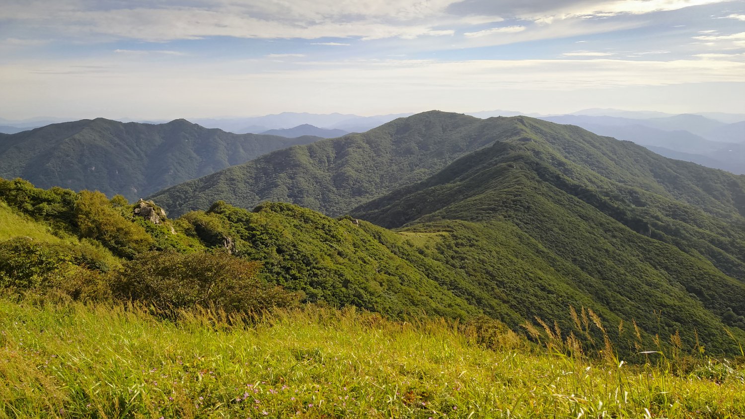 08-27 여름을 보내며 다녀온 소백산 산행후기 - 뽐뿌:등산포럼 08-27 여름을 보내며 다녀온 소백산 산행후기