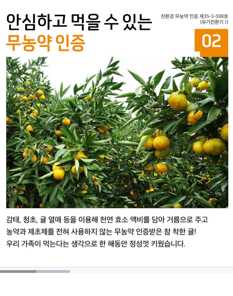 뽐뿌:뽐뿌게시판 - [스토어팜]  제주 무농약 극조생 귤 10kg  [30,000원/무배] [스토어팜]  제주 무농약 극조생 귤 10kg  [30,000원/무배]