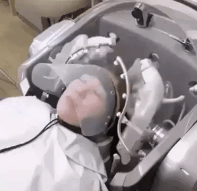 1529052028_3409_64A6DCCB_AC6B_4170_9AB2_1C55196624F7.gif