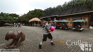 1535250178_6560_downloadfile_7.gif