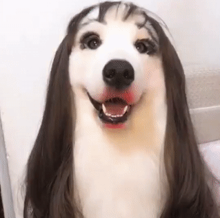 1535387235_4606_5B6153E3_8520_4B37_887C_A5BDC418C150.gif