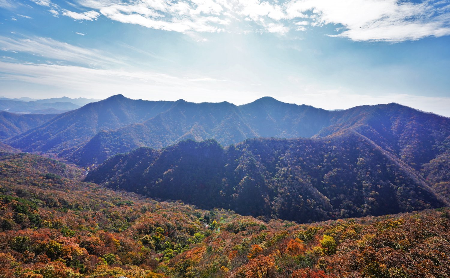 뽐뿌:등산포럼 - 단풍하면 내장산이죠.