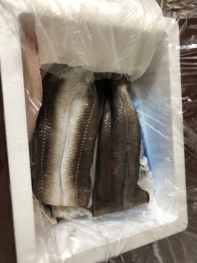 뽐뿌:뽐뿌게시판 - [여수아빠다] 자연산 바다 장어 中 (16,000/4000)