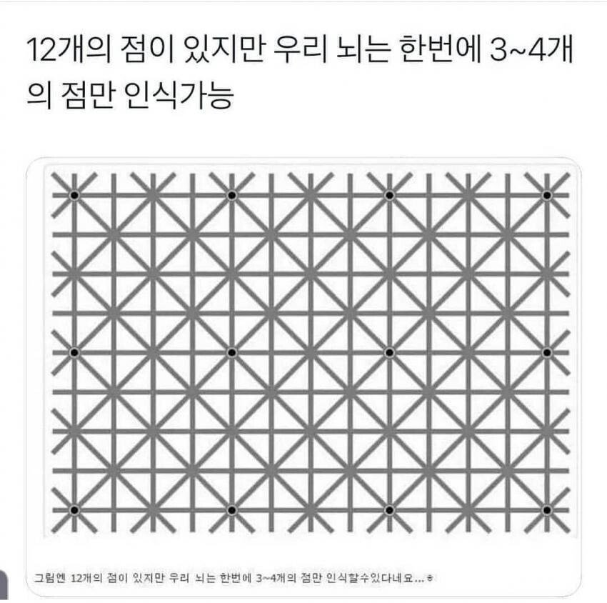 1414.jpg