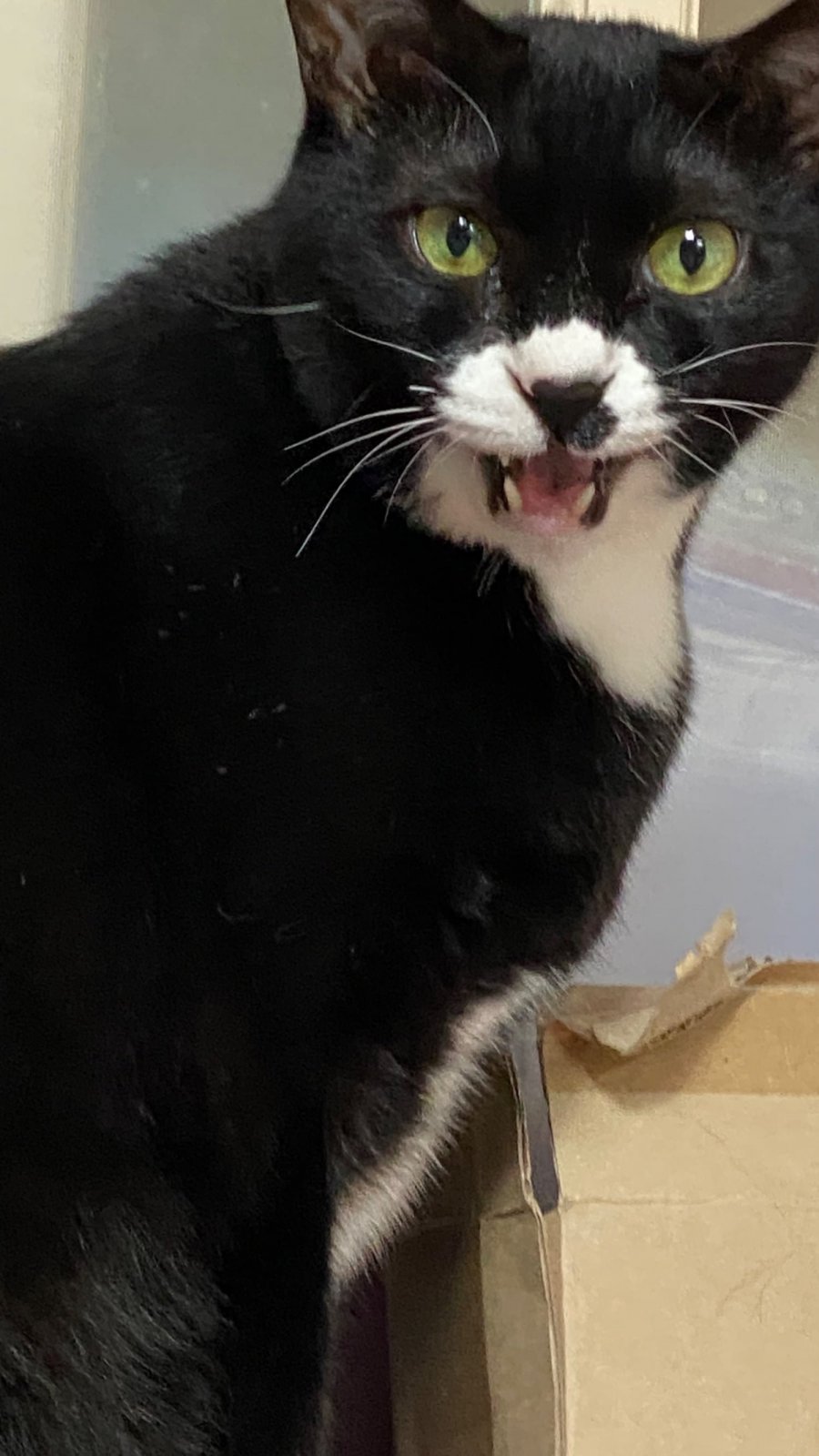   ļ 