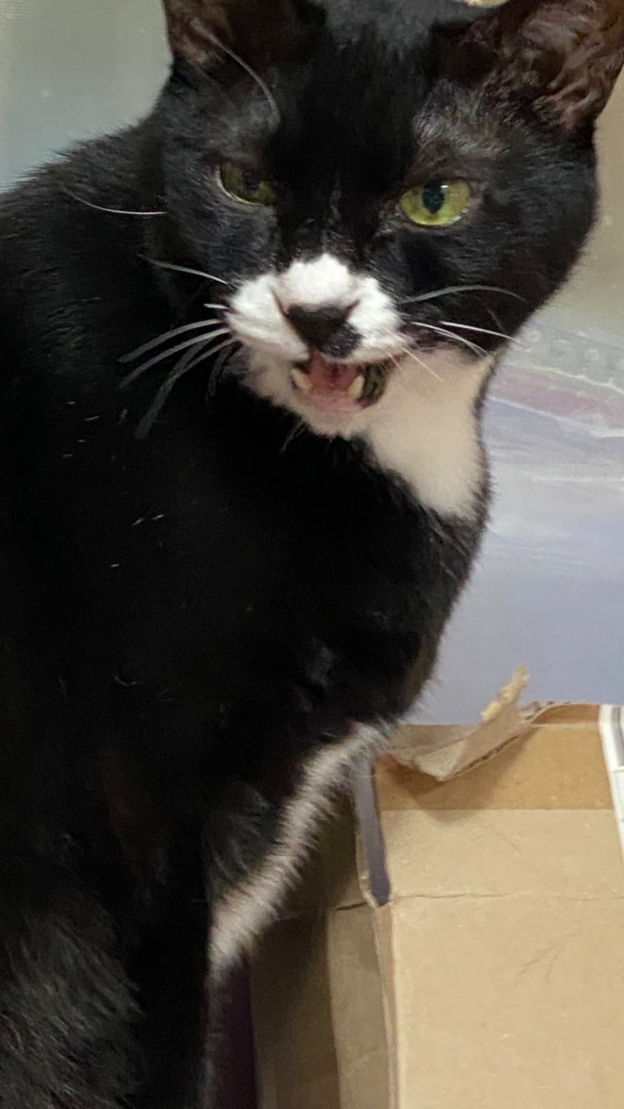   ļ 
