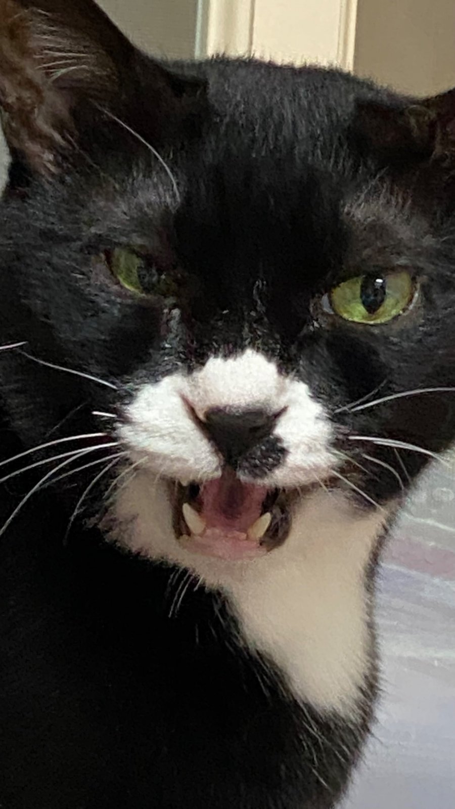   ļ 