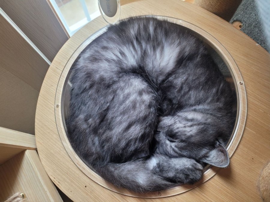 츮 