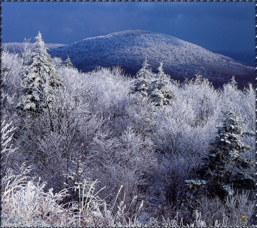 1334048920_dk_NG1_Monongahela_National_Forest_Wv.jpg