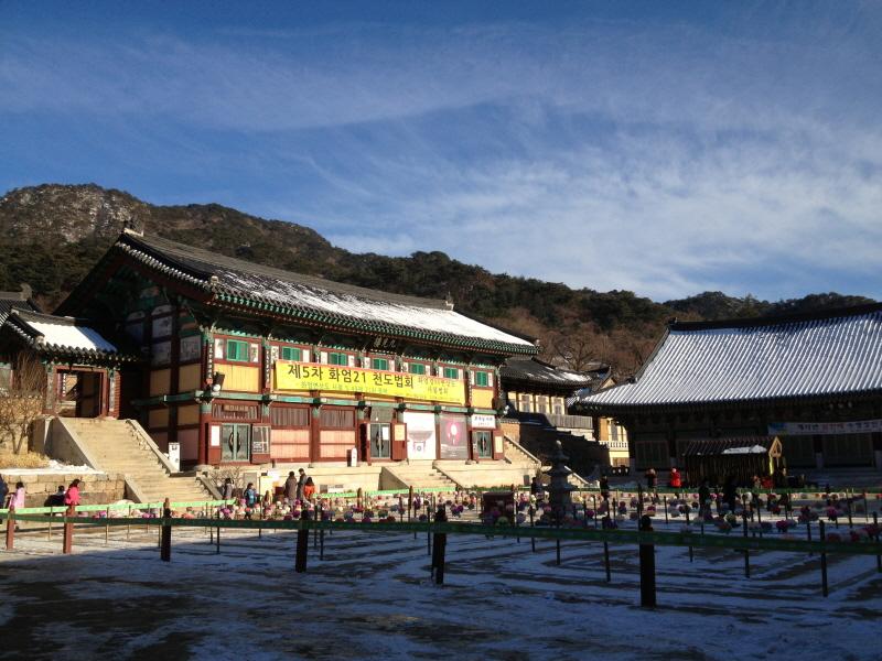 어쩌면 당신에게 필요한 유일한 카메라, 아이폰4SLR - 뽐뿌:아이폰포럼 어쩌면 당신에게 필요한 유일한 카메라, 아이폰4SLR