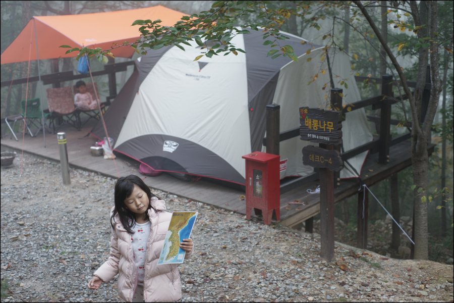 문성 휴양림 후기 - 뽐뿌:캠핑포럼 문성 휴양림 후기