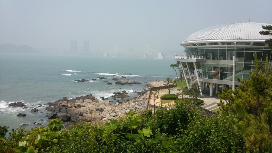 동백섬에서 본 바다 - 뽐뿌:자유게시판 동백섬에서 본 바다