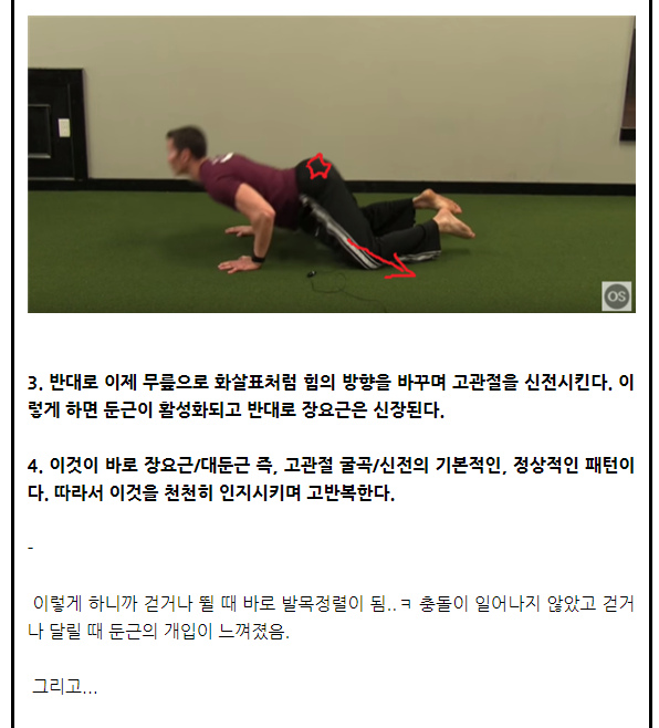 장코치 근육학. 장요근/대둔근의 길항작용과 햄스트링과활성화로 인한 둔근 complex의 기능부전 - 뽐뿌:건강/헬스 장코치 근육학. 장요근... 