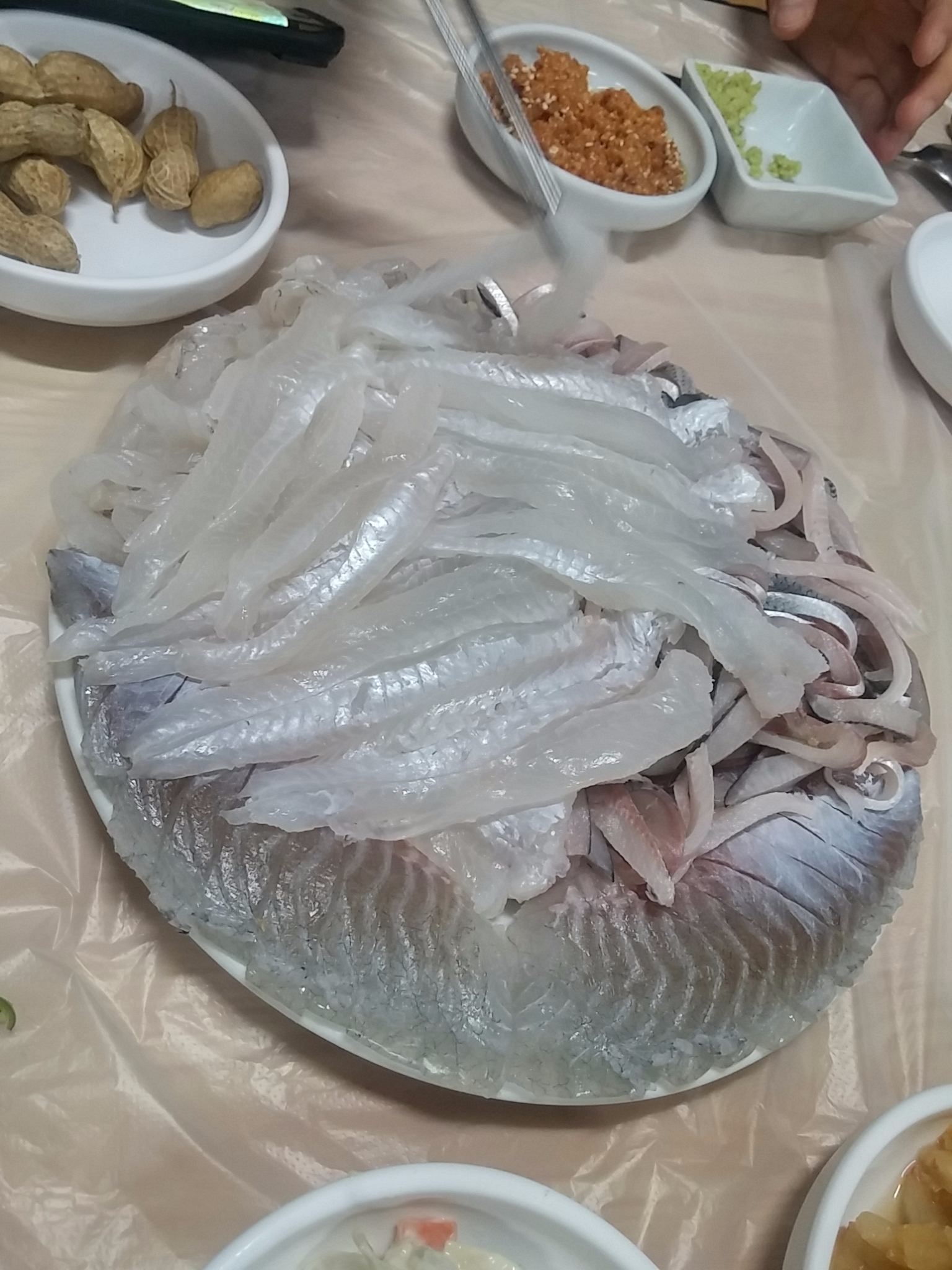 모듬회 - 뽐뿌:자유갤러리 모듬회