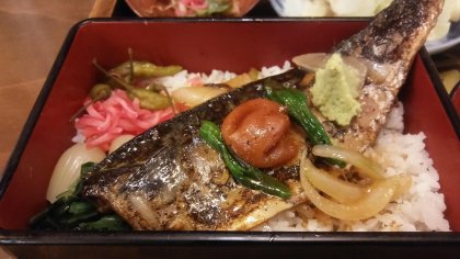 사바동(고등어 덮밥 일본 가정식세트) - 뽐뿌:모바일갤러리