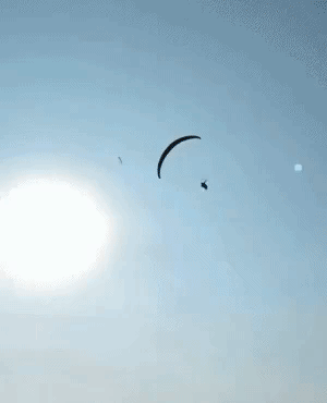 1535340022_3715_16576a3c99f15f7b9.gif