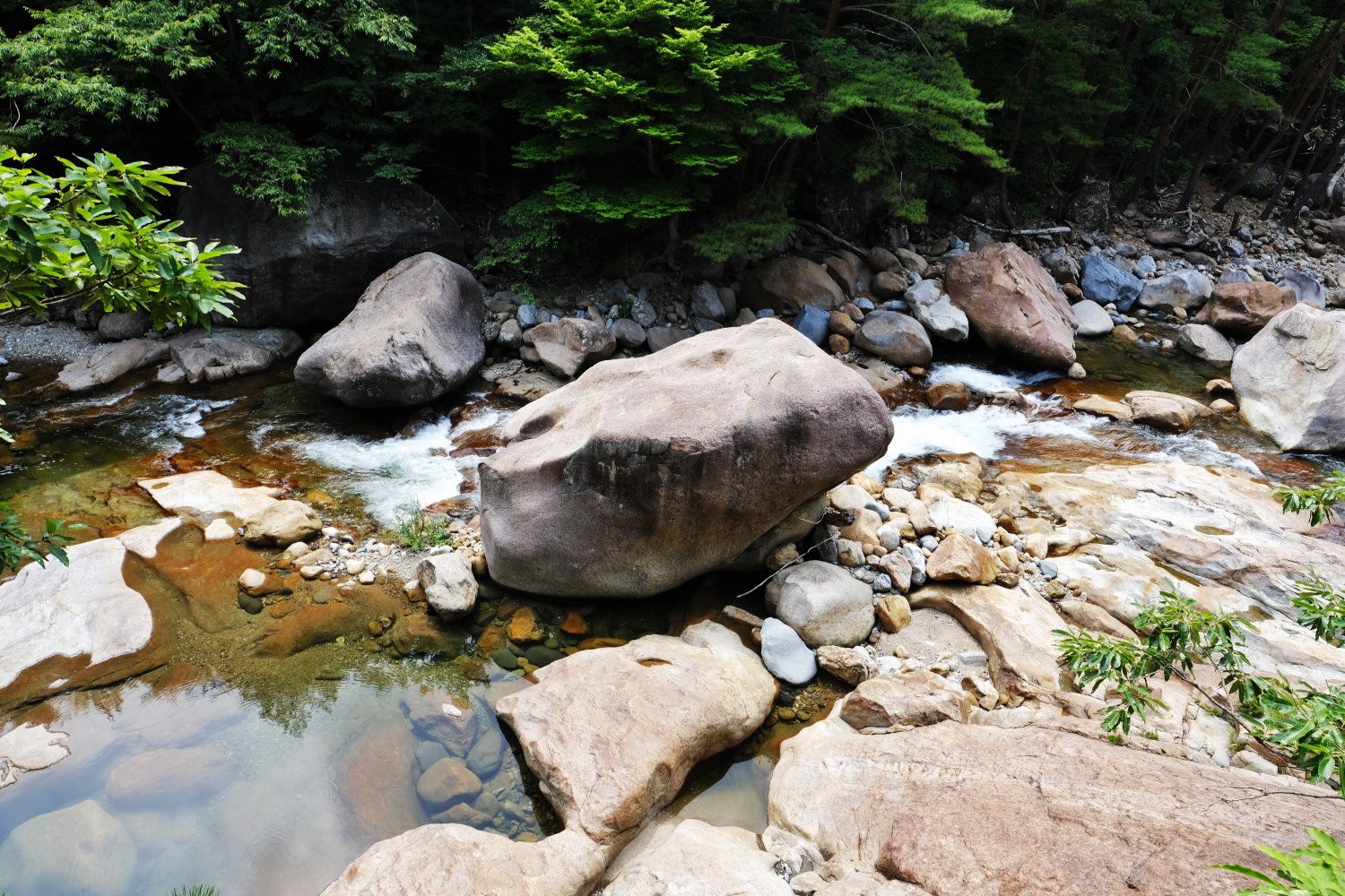 20190716064944_uqraydiu.jpg