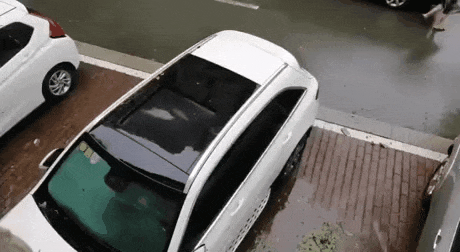 C1044BA8-412D-45B7-B775-57A363E54780.gif
