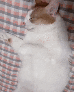 16ca87b09744e9946.gif