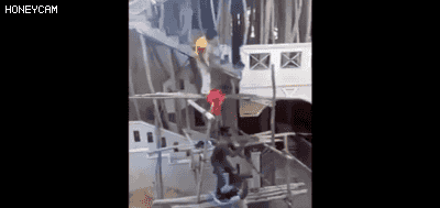 44764915661720904.gif