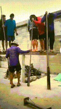 Hws5d59f20864591.gif