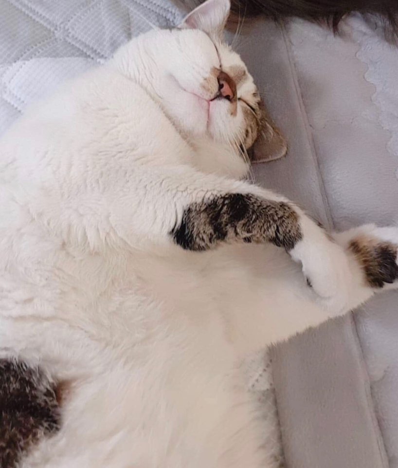 째깐이 이미지