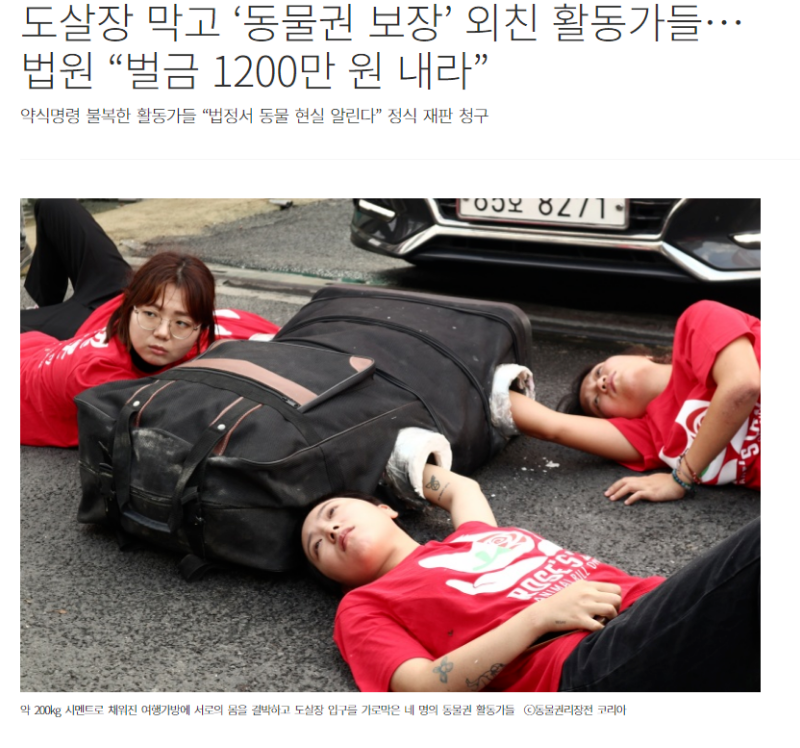 zall1584019976_1184180700.png