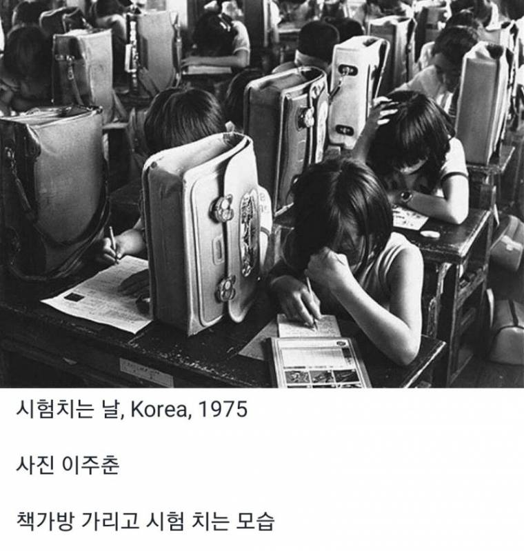 50870215859958030.jpg