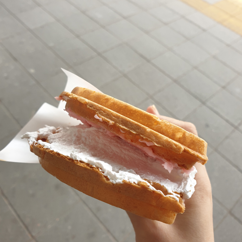 와플대학 - 뽐뿌:자유갤러리 와플대학