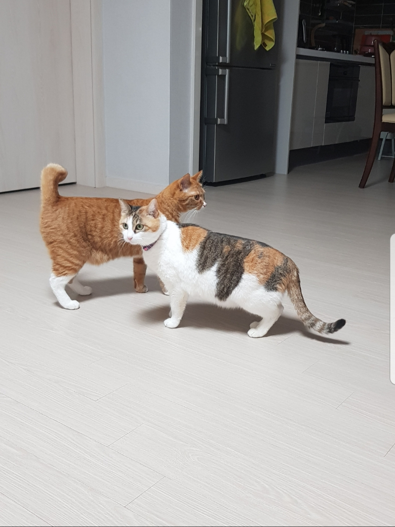 벌써 2년