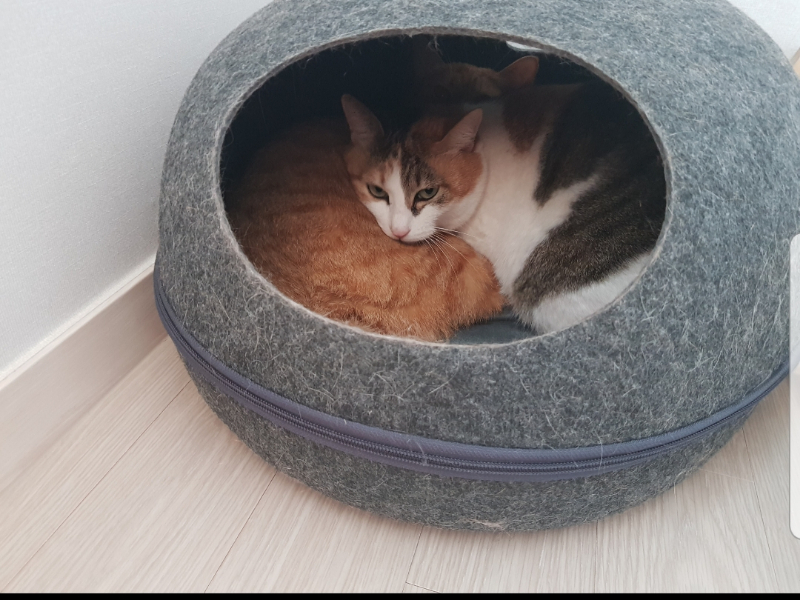 벌써 2년