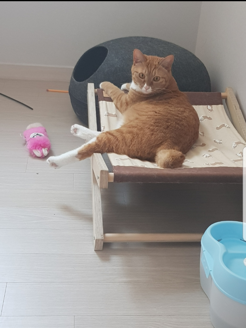 벌써 2년