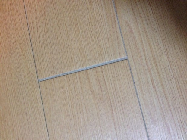2014-10-16.jpg