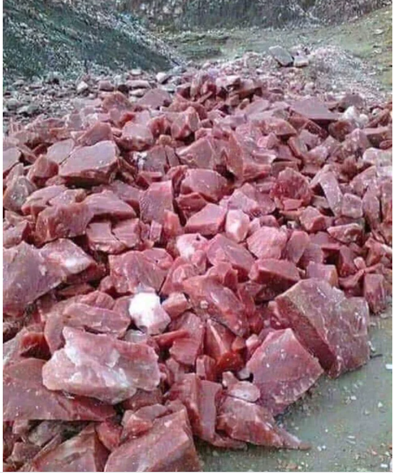 우와 고기당~~ - 뽐뿌:자유게시판 우와 고기당~~
