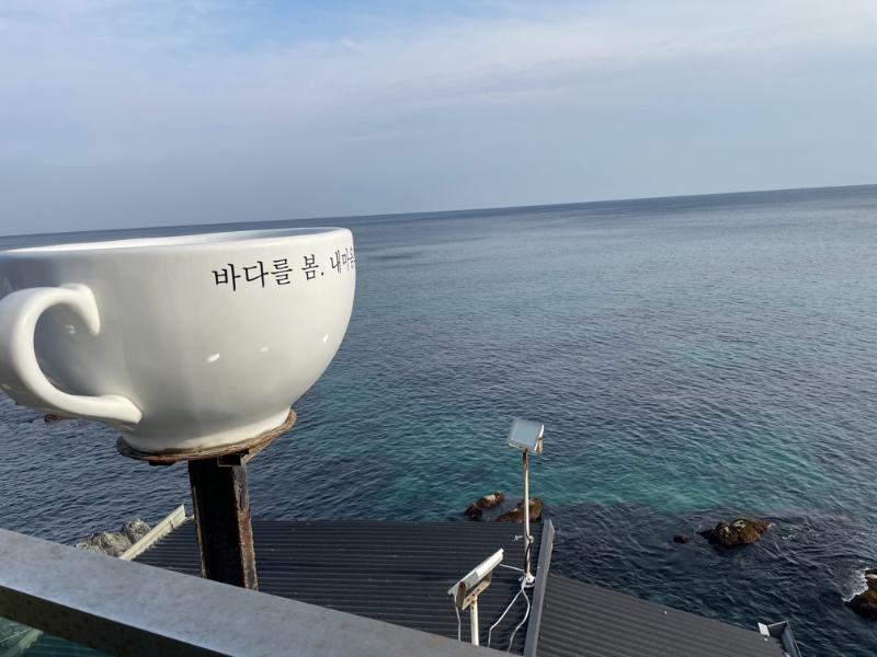 영덕 카페 봄 - 뽐뿌:여행포럼 영덕 카페 봄