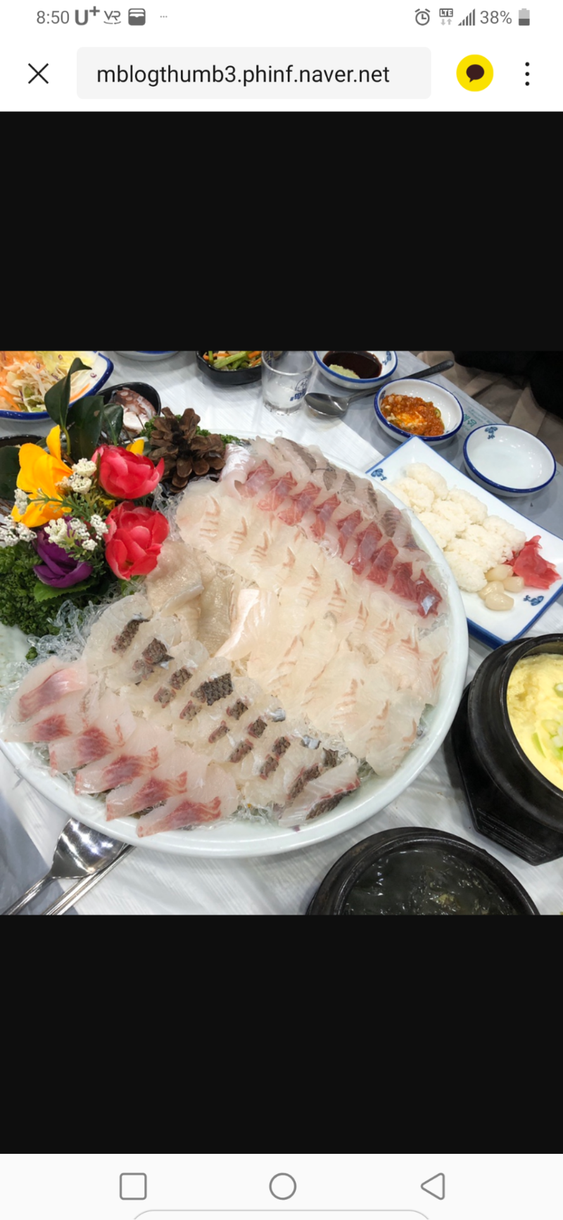 회 - 뽐뿌:자유갤러리 회