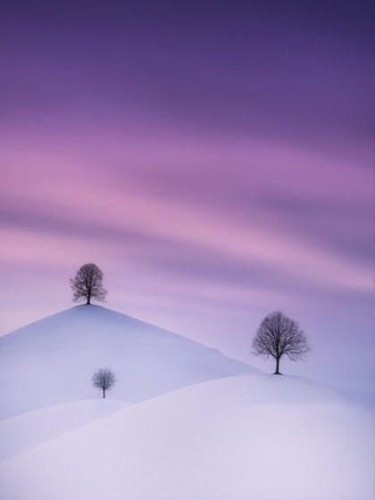 28975_Cédric_Tamani_The_Drumlins_in_Winter.jpeg
