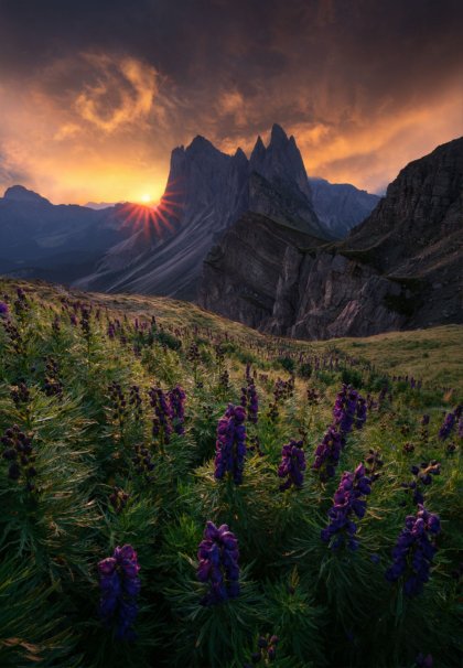 31250-AndreaZappia-EpicSunrise.jpeg