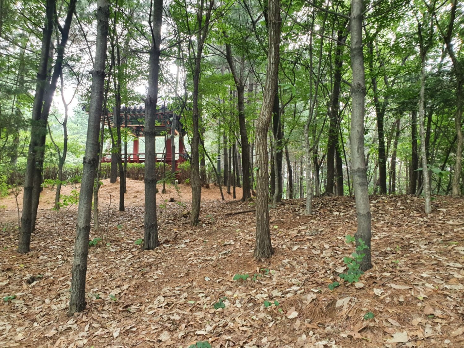 공원 산책 - 뽐뿌:자유갤러리 공원 산책
