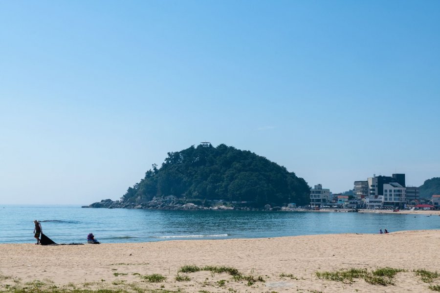 해파랑길 42, 43코스 - 뽐뿌:자유갤러리 해파랑길 42, 43코스
