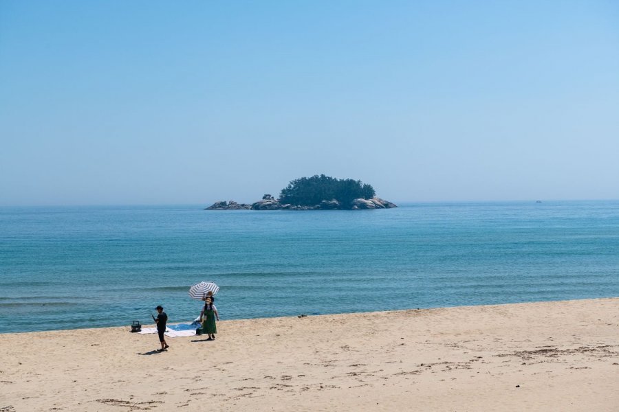 해파랑길 42, 43코스 - 뽐뿌:자유갤러리 해파랑길 42, 43코스