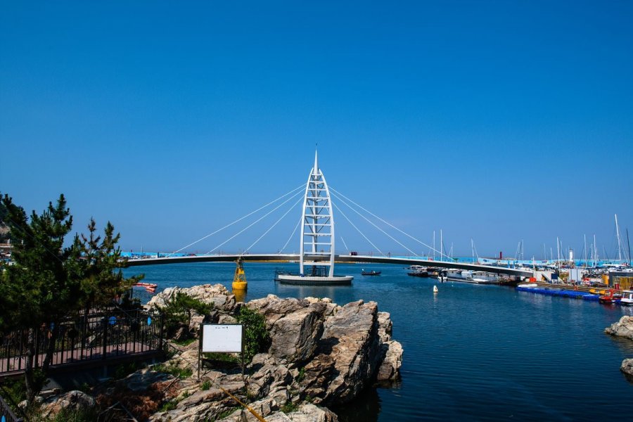 해파랑길 42, 43코스 - 뽐뿌:자유갤러리 해파랑길 42, 43코스