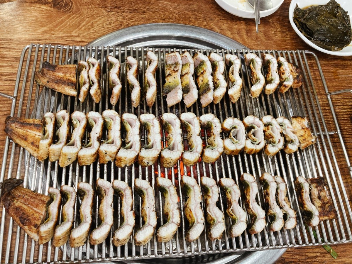 민물장어 - 뽐뿌:자유갤러리 민물장어