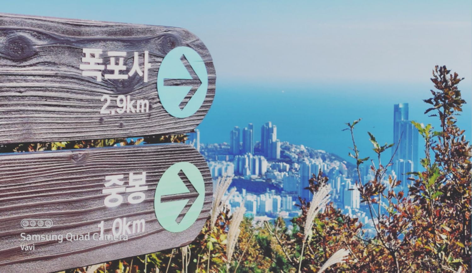 해운대 장산에 갔다 왔어요 - 뽐뿌:등산포럼 해운대 장산에 갔다 왔어요