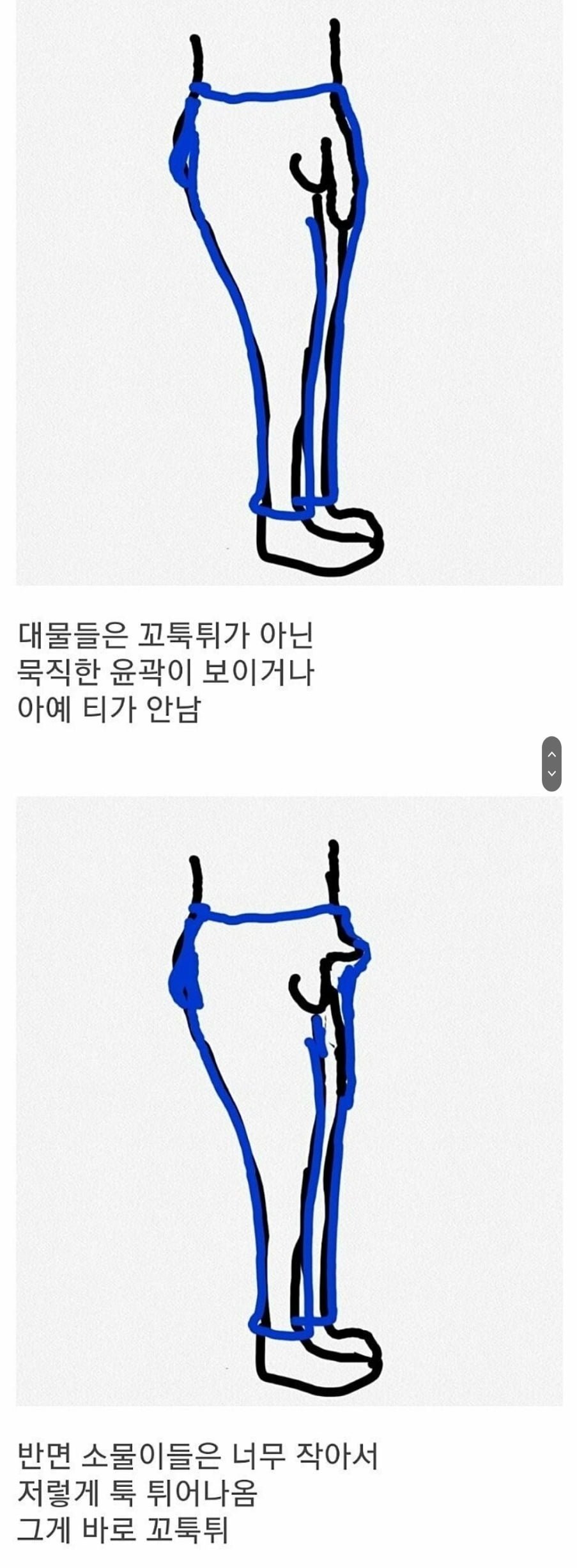 츄리닝 꼬툭튀로 대물 구별법 뽐뿌유머감동