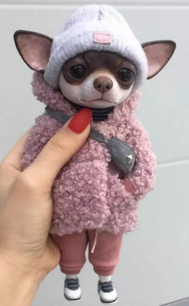오늘 휴가 쓴 분들 많죠? - 뽐뿌:자유게시판 오늘 휴가 쓴 분들 많죠?