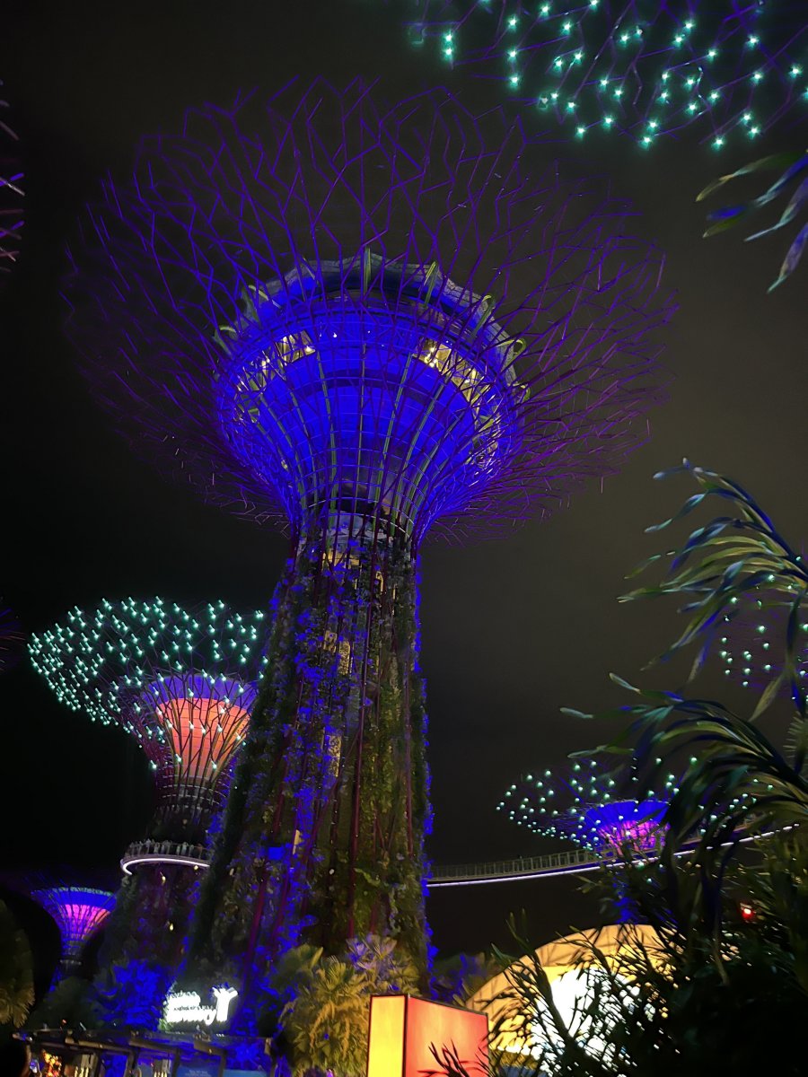 싱가폴 야경
